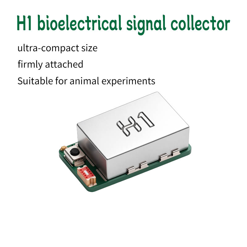 Muscle Sensor Emg - H1 EEG EMG Toplama Modülü Fare